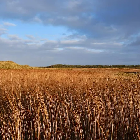 Casa vacanze Seaside Serenity In Blokhus-by Traum *