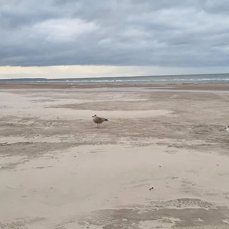 Casa vacanze Seaside Serenity In Blokhus-by Traum Blokhus