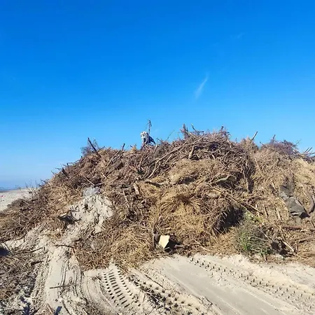 Seaside Serenity In Blokhus-by Traum * Blokhus