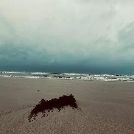 Casa vacanze Seaside Serenity In Blokhus-by Traum