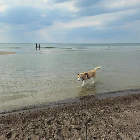 Casa vacanze Seaside Serenity In Blokhus-by Traum
