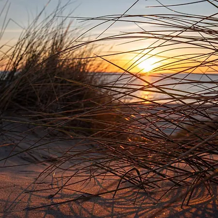 Vakantiehuis Seaside Serenity In Blokhus-by Traum *
