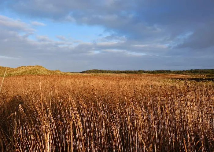 بيت للعطل Seaside Serenity In Blokhus-by Traum *