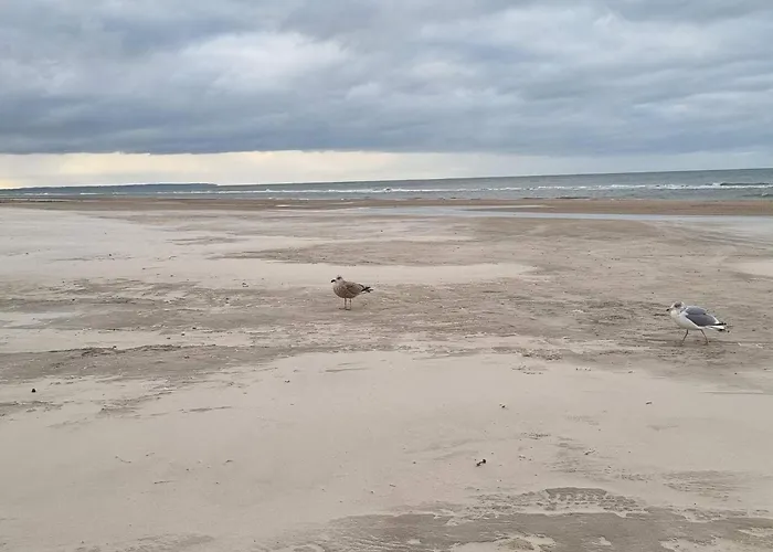 بيت للعطل Seaside Serenity In Blokhus-by Traum بلوكهوس