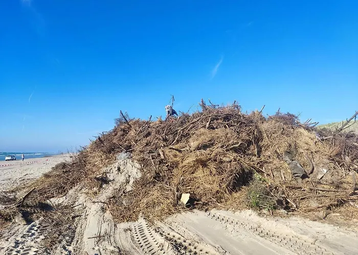 Seaside Serenity In Blokhus-by Traum * بلوكهوس