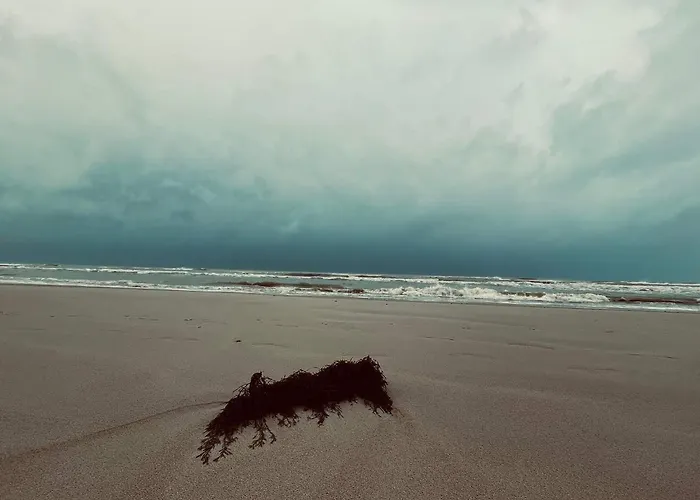 بيت للعطل Seaside Serenity In Blokhus-by Traum