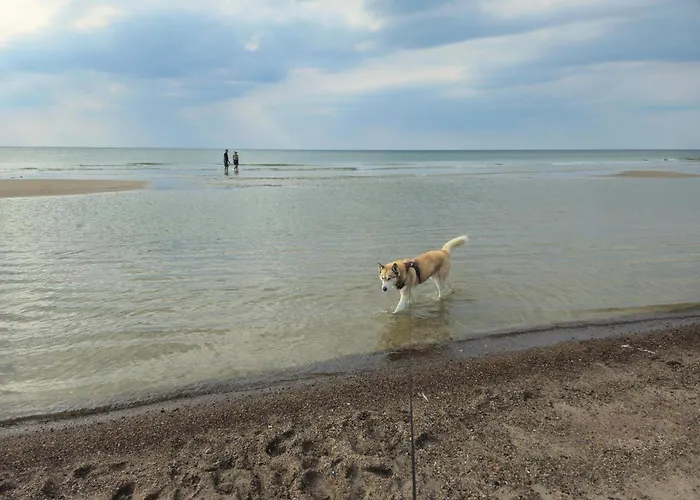 بيت للعطل Seaside Serenity In Blokhus-by Traum