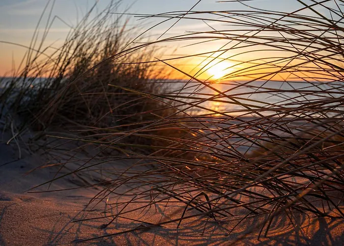 بيت للعطل Seaside Serenity In Blokhus-by Traum *